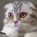 SOCIO Group's Profile Picture