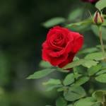 SOCIO Profile Picture