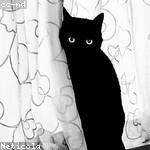 Maryjane Beatty Profile Picture