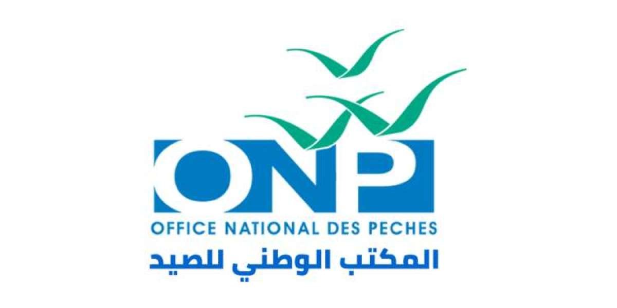 Office national des pêches : Concours de recrutement pour 6 postes, date limite : 12 décembre 2025